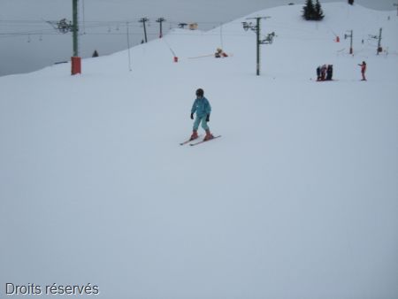 DSC00984