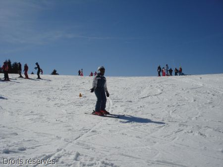 DSC06388