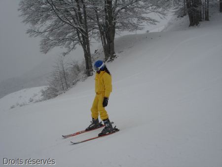 DSC07503