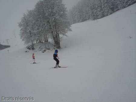 DSC07525