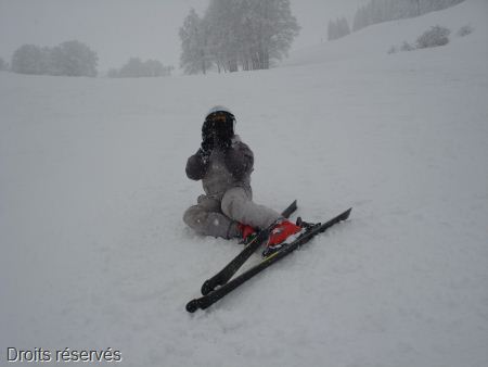 DSC07528
