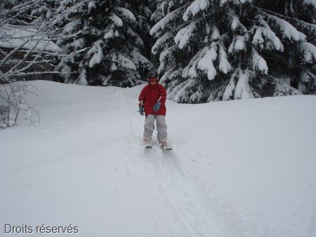 DSC07535