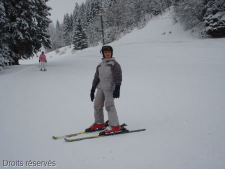 DSC07536