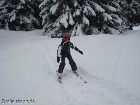 DSC07544