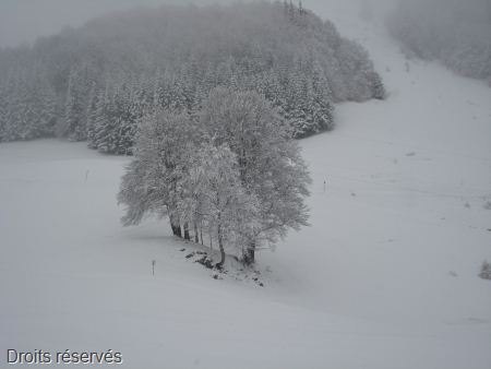 DSC07548