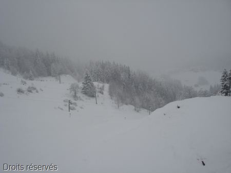 DSC07550