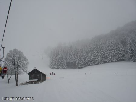 DSC07552