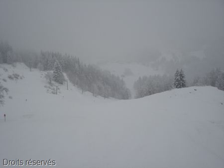 DSC07553