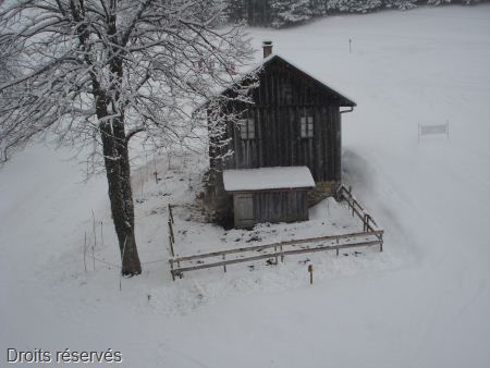 DSC07555