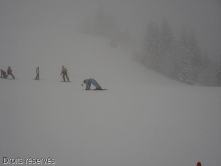 DSC07564