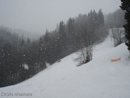 DSC07612
