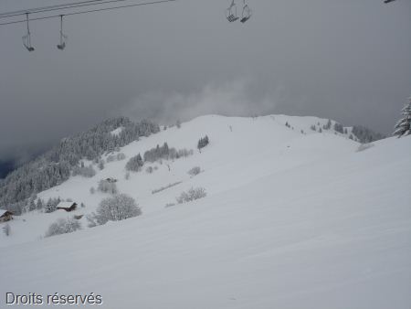 DSC07621
