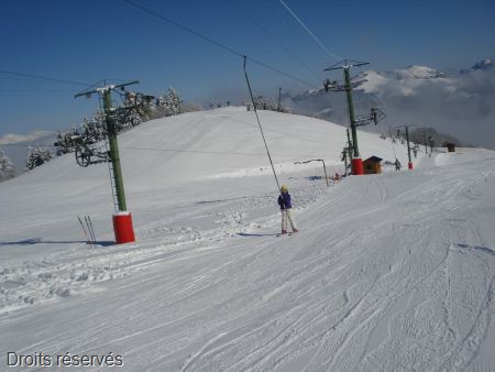DSC07870