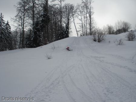 DSC07874