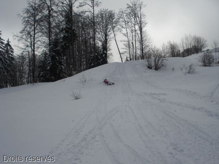 DSC07875