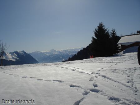 DSC08064