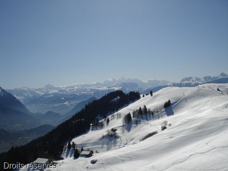 DSC08133