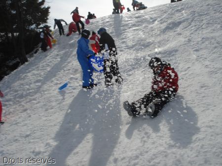 DSC08331