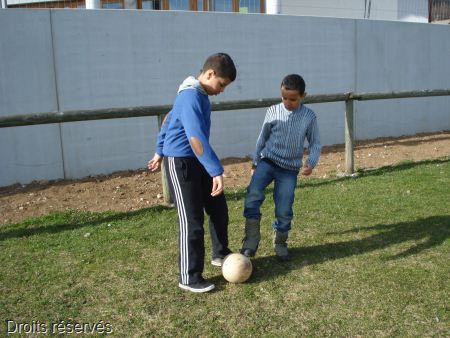 DSC08508