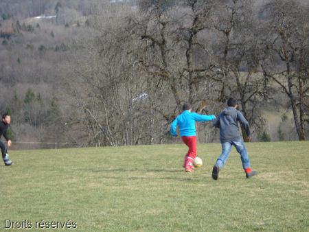 DSC08539