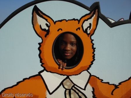 DSC05627