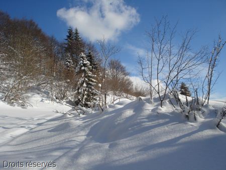 DSC00477