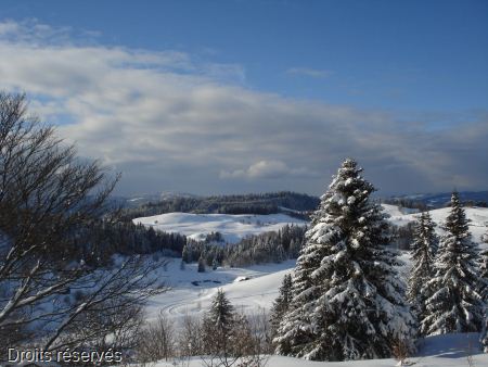 DSC00507