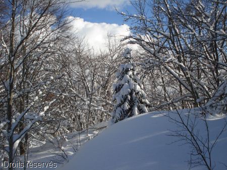 DSC00431