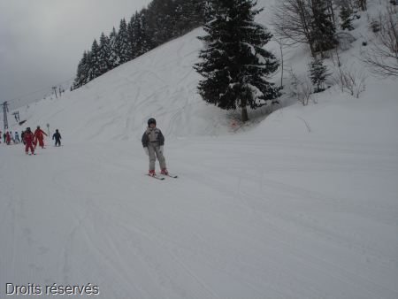DSC03287
