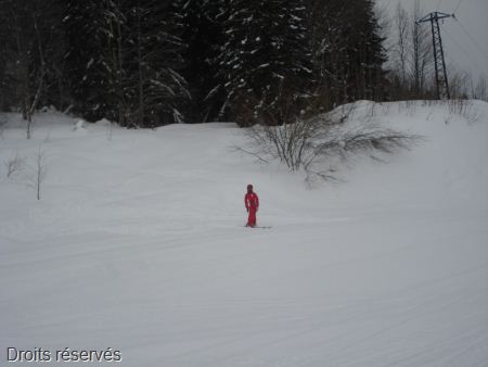 DSC03292