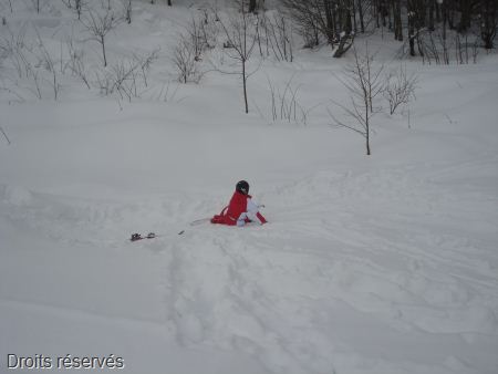 DSC03293