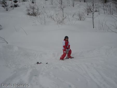 DSC03294