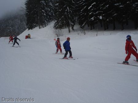 DSC03339