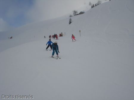 DSC03347