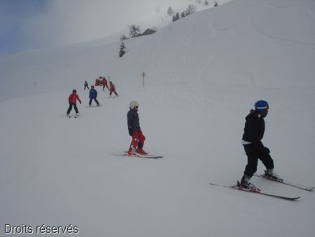 DSC03350