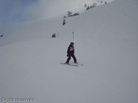DSC03353