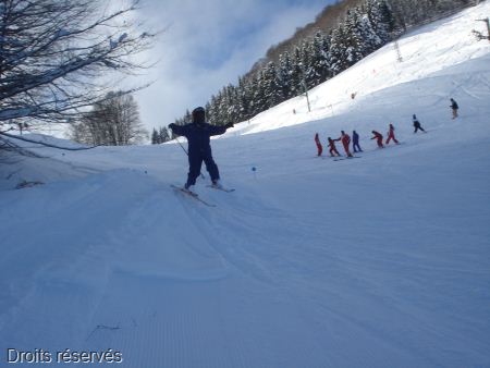 DSC03455