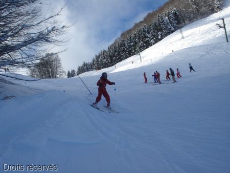 DSC03457
