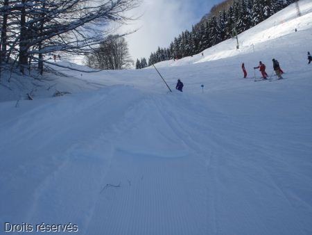 DSC03459