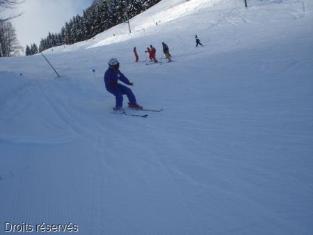 DSC03460