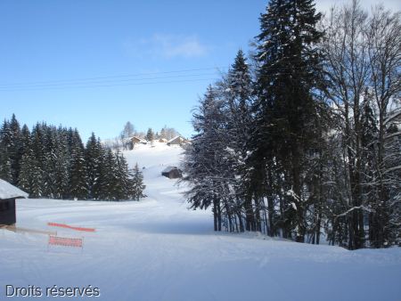 DSC03465