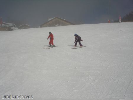 DSC03478