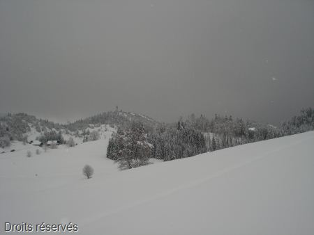 DSC02416