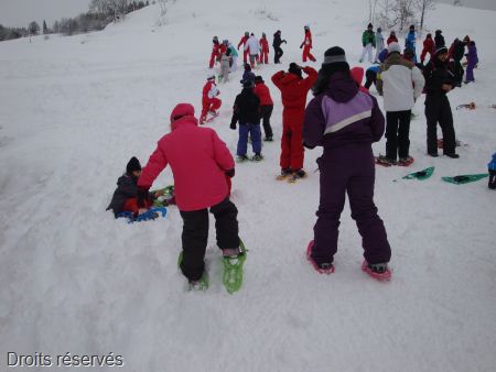 DSC04964