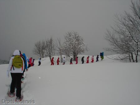 DSC02418