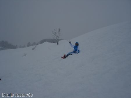 DSC02494