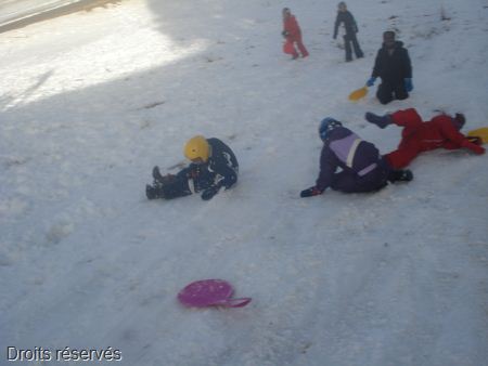 DSC03903