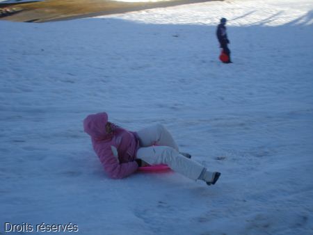 DSC03954
