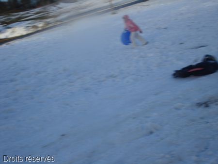 DSC03971