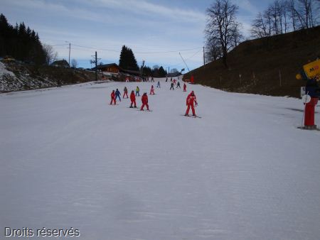 DSC07203